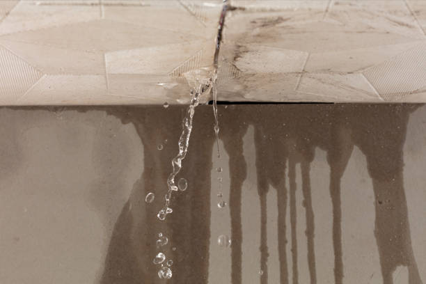 Professional Structural Drying technician working in Sheridan, MI